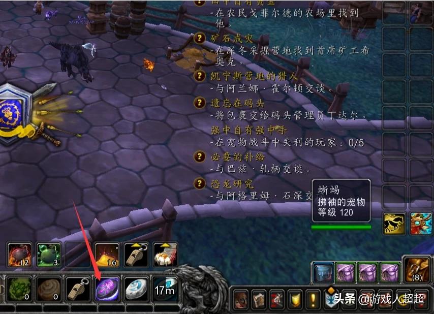 魔兽世界宠物大全_魔兽世界宠物大全与获得方式