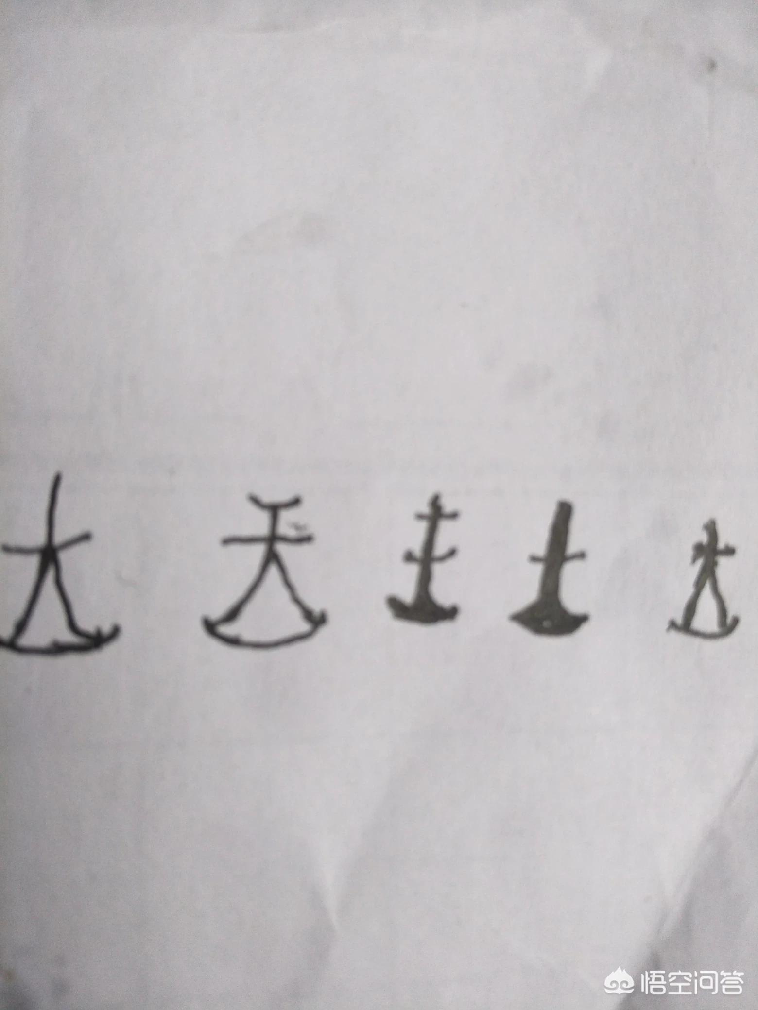 老虎头上都有一个王字吗_老虎头上都有一个王字吗图片