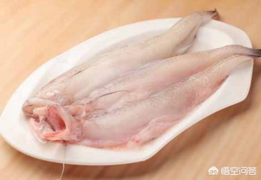 柔软的狂鱼肉_柔软的狂鱼肉怎么获得