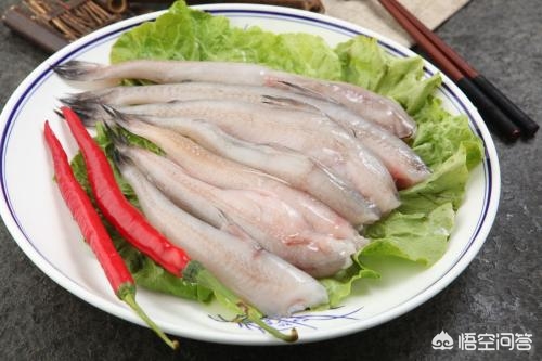柔软的狂鱼肉_柔软的狂鱼肉怎么获得