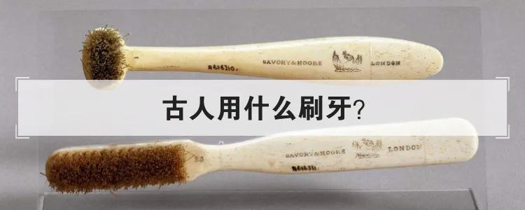 古代的刷牙利器_古代的刷牙利器是什么植物