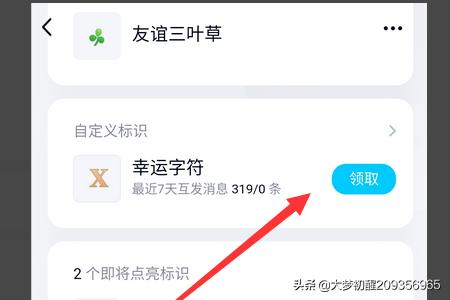 QQ怎么开启幸运字符_qq怎么开启幸运字符标识