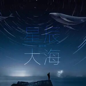 我向你奔赴而来你就是星辰大海_我向你奔赴而来你就是星辰大海什么意思