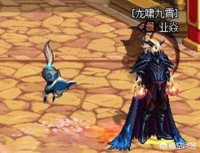 dnf官网宠物_dnf宠物合集
