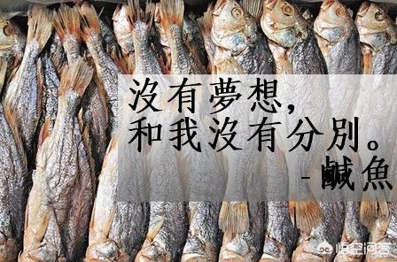 无人在线直播免费观看视频下载_无人在线直播免费观看视频下载软件