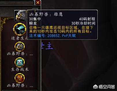 魔兽世界猎人天赋_魔兽世界猎人天赋加点图