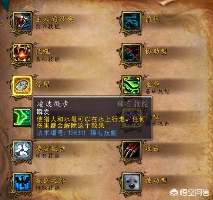 魔兽世界猎人天赋_魔兽世界猎人天赋加点图