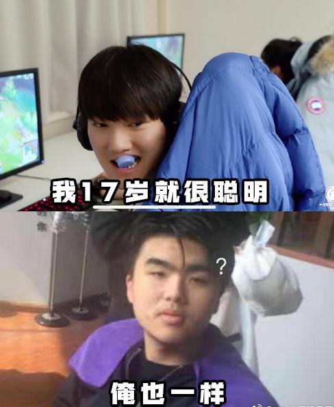 王者荣耀国服表情包_王者荣耀国服表情包图片