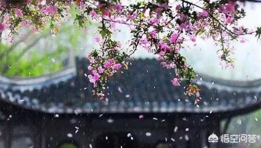 夏季雨后蛙声一片_夏季雨后蛙声一片除了肺之外