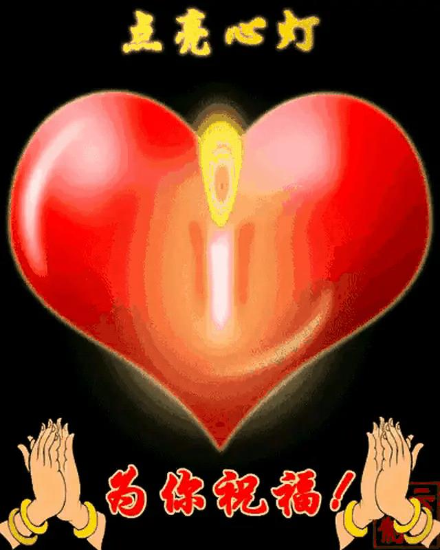 宪法小卫士答题答案_宪法小卫士答题答案大四