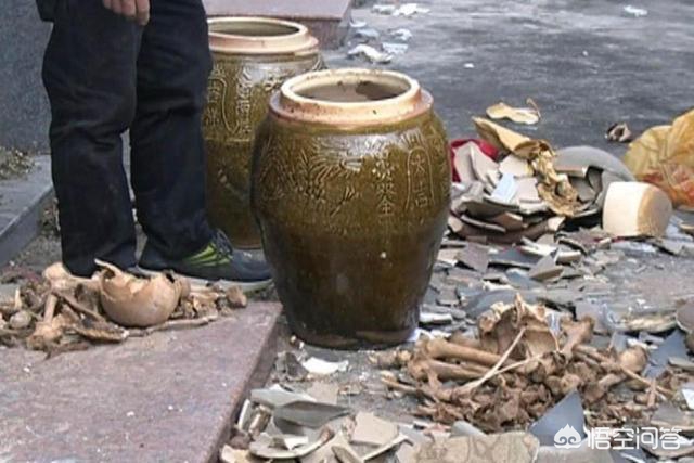 麻豆传播媒体app大全免费版_麻豆传播媒体app大全免费版下载