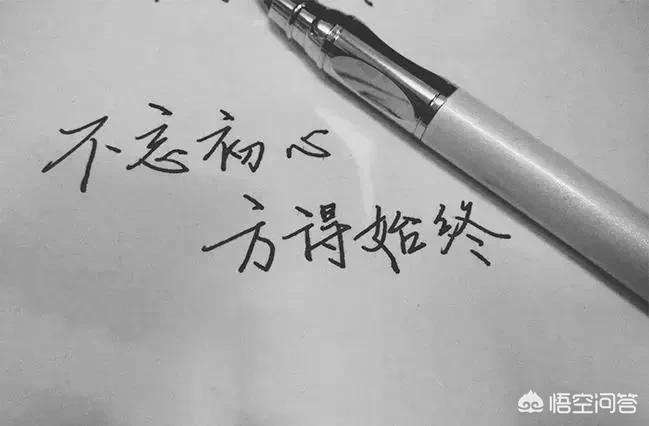 樱桃视频大全免费高清版_樱桃视频大全免费高清版应用特色