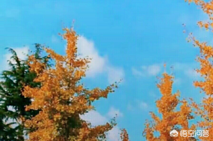 抖音变脸特效在哪_抖音变脸特效在哪里