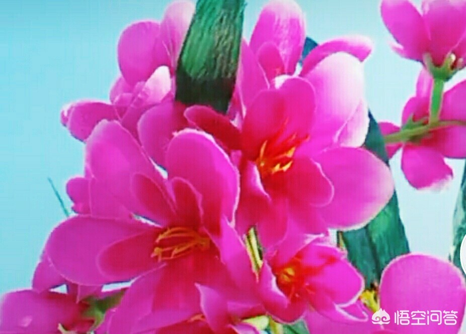 抖音变脸特效在哪_抖音变脸特效在哪里