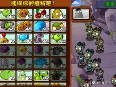 植物大战僵尸攻略图_植物大战僵尸攻略图解