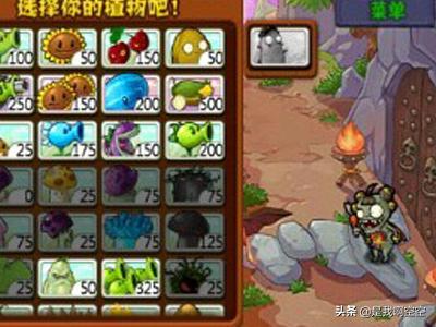 植物大战僵尸攻略图_植物大战僵尸攻略图解