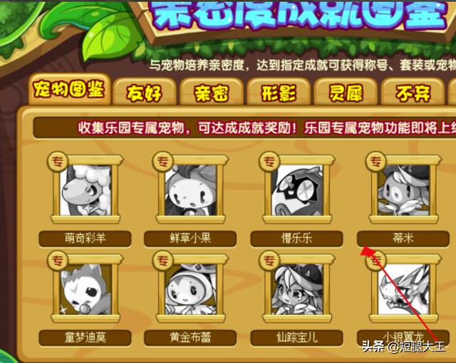 洛克王国主题乐园在哪_洛克王国主题乐园在哪里
