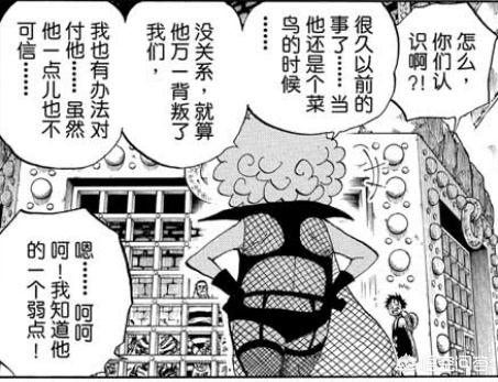 城中的鳄鱼怎么做_