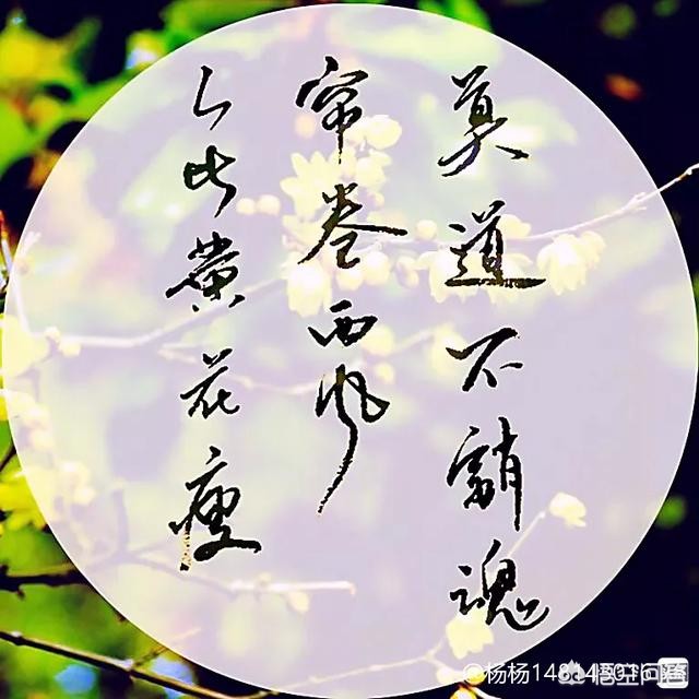 仙侠世界答题器_仙侠世界答题器下载