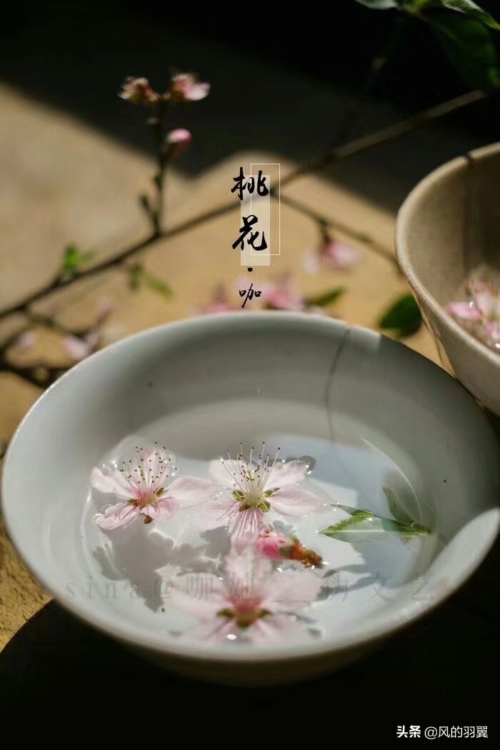海棠文学小说-无弹窗免费网络小说阅读123_海棠文学小说-无弹窗免费网络小说阅读123 作者