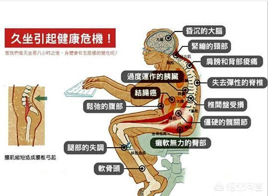 每天坐多久算久坐一族_每天坐多久不算久坐