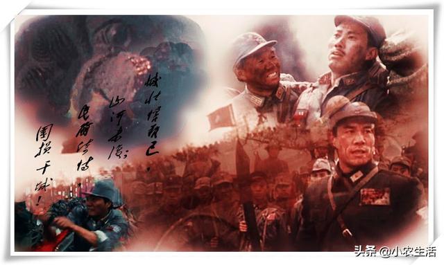 七七影视_七七影视大全免费追剧app下载最新