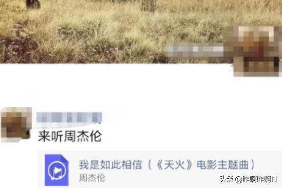 微信怎么分享音乐_微信怎么分享音乐到朋友圈
