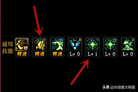 dnf流浪武士加点_DNF流浪武士加点