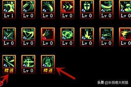 dnf流浪武士加点_DNF流浪武士加点