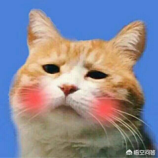 高级炉岩碳怎么得_高级炉岩碳怎么获得