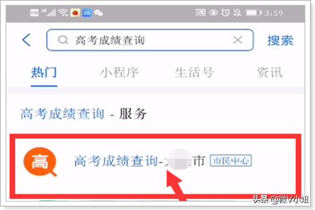 高考怎么查分数_高考怎么查分数在哪个网站