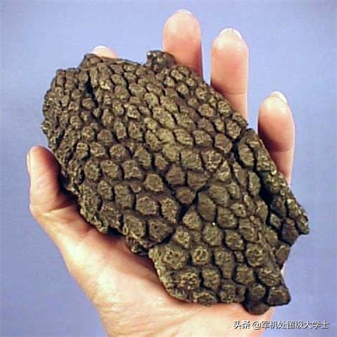 外观皮肤_外观皮肤评估怎么写