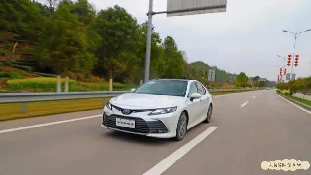 2021网站你懂我意思正能量WWW_2021网站你懂我意思正能量破解版