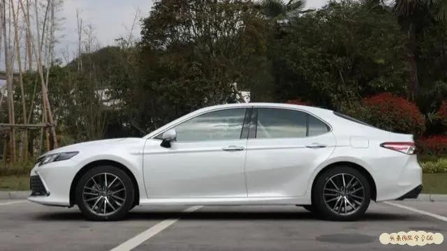 2021网站你懂我意思正能量WWW_2021网站你懂我意思正能量破解版