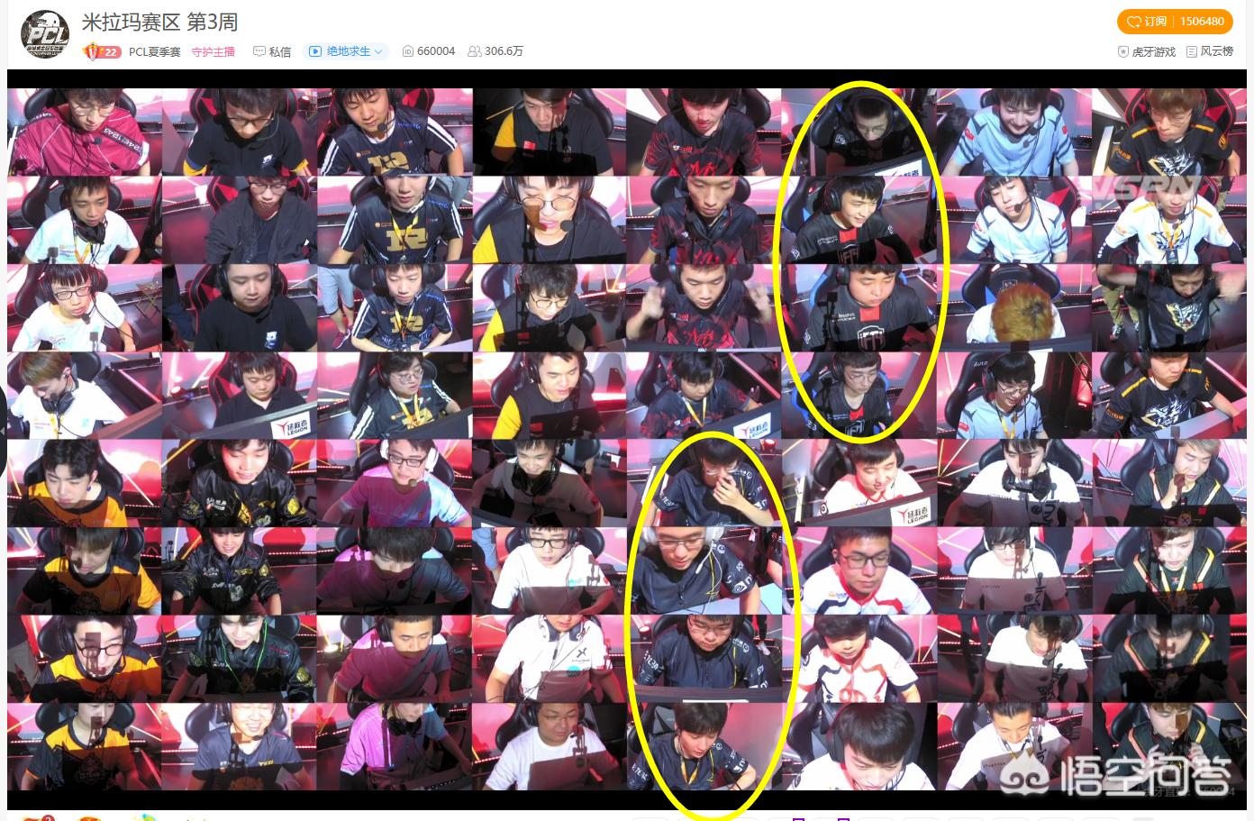 韦神反向q_韦神反向q是什么意思