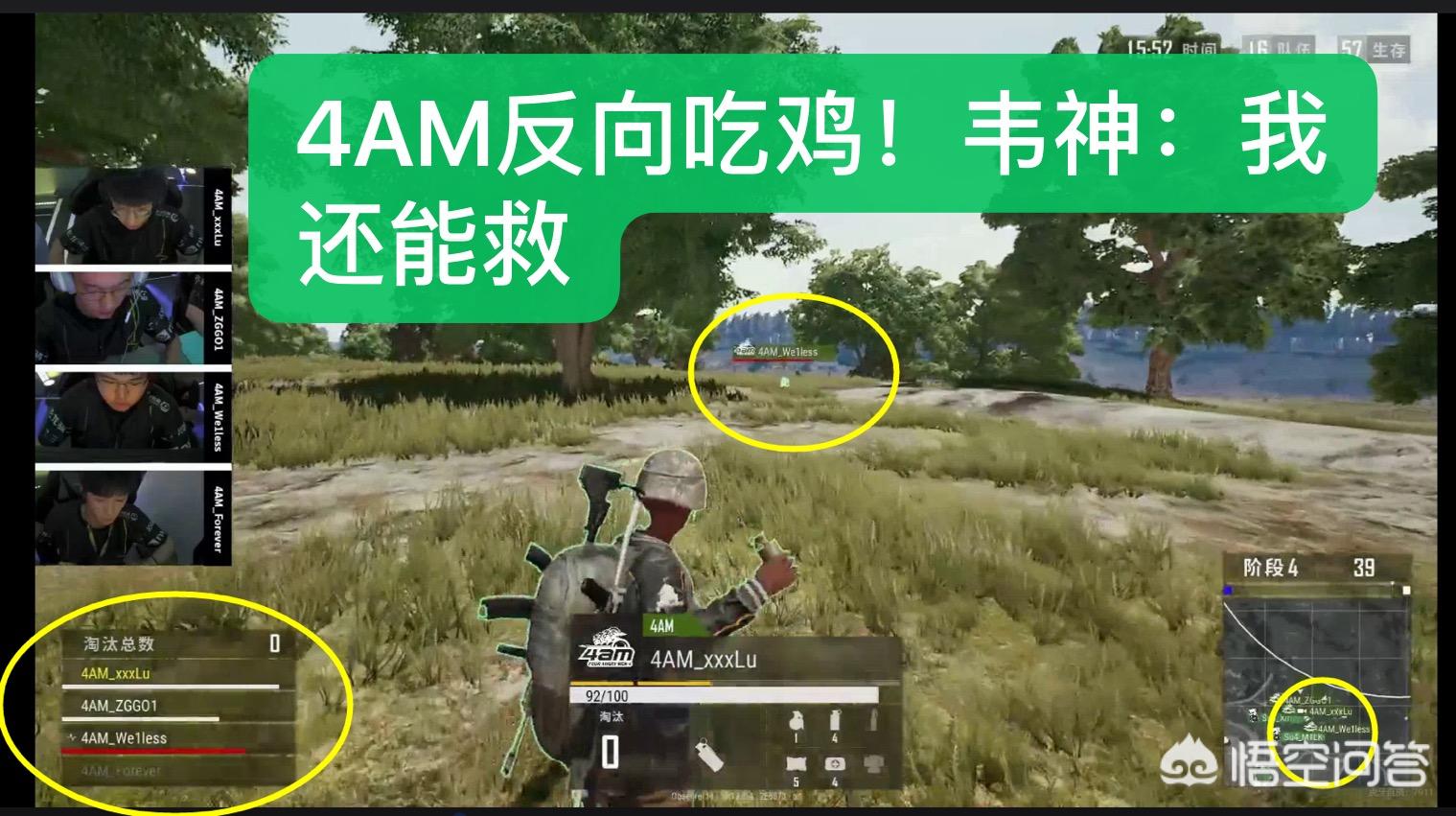 韦神反向q_韦神反向q是什么意思