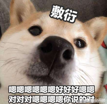 石乐志什么意思_石乐志什么意思是什么