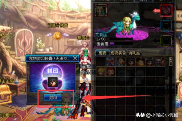 dnf宠物怎么获得_dnf宠物怎么获得免费