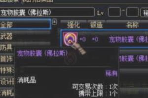 dnf宠物怎么获得_dnf宠物怎么获得免费