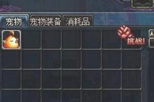 dnf宠物怎么获得_dnf宠物怎么获得免费