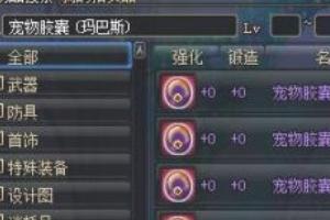 dnf宠物怎么获得_dnf宠物怎么获得免费