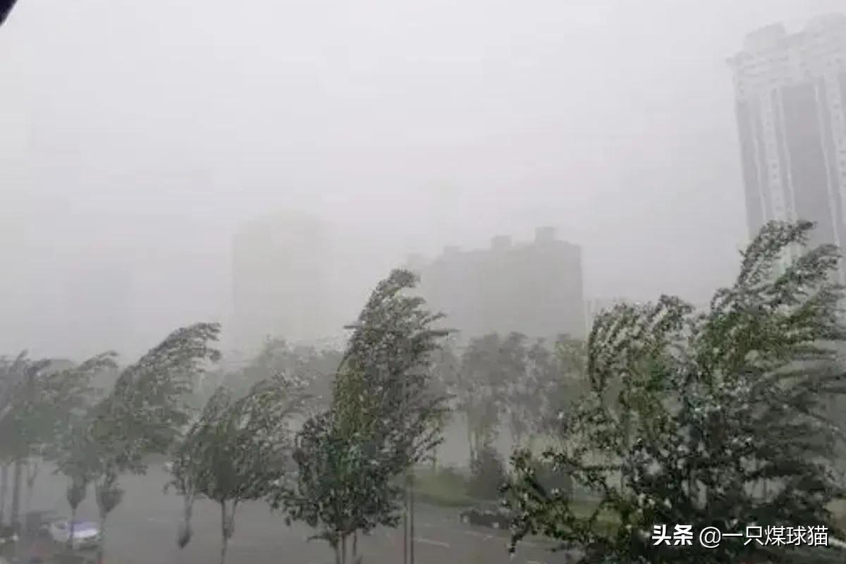 逃离人类_逃离人类荒谬