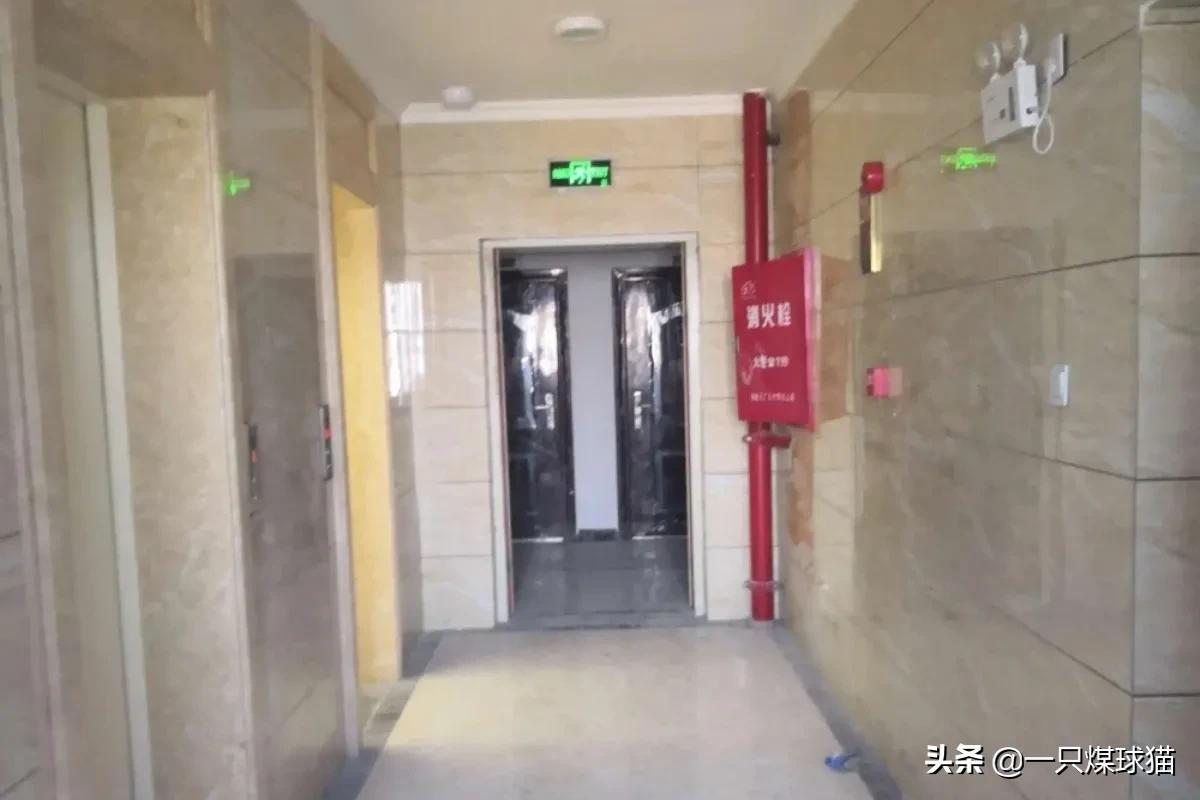 逃离人类_逃离人类荒谬