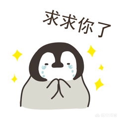 lol加里奥_lol加里奥技能介绍