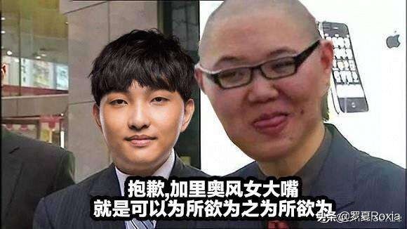 lol加里奥_lol加里奥技能介绍