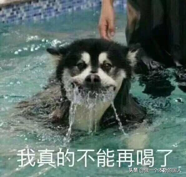 dnf女漫游刷图_dnf女漫游刷图视频最新