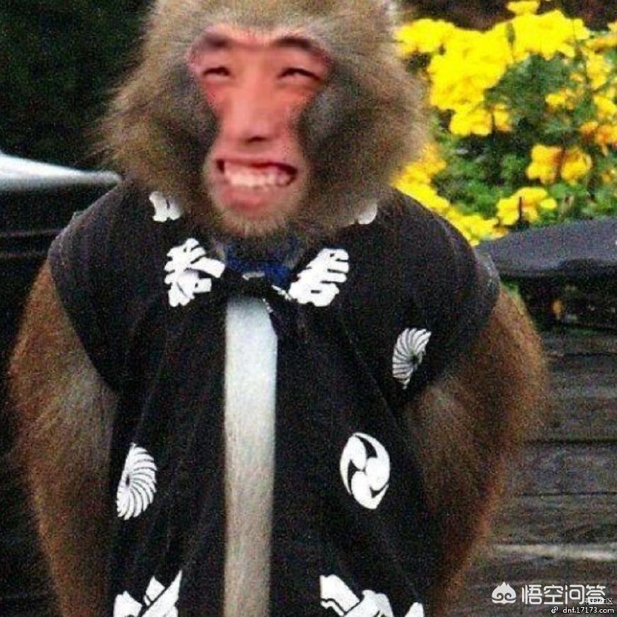 dnf4周年活动_dnf周年庆第四弹奖励