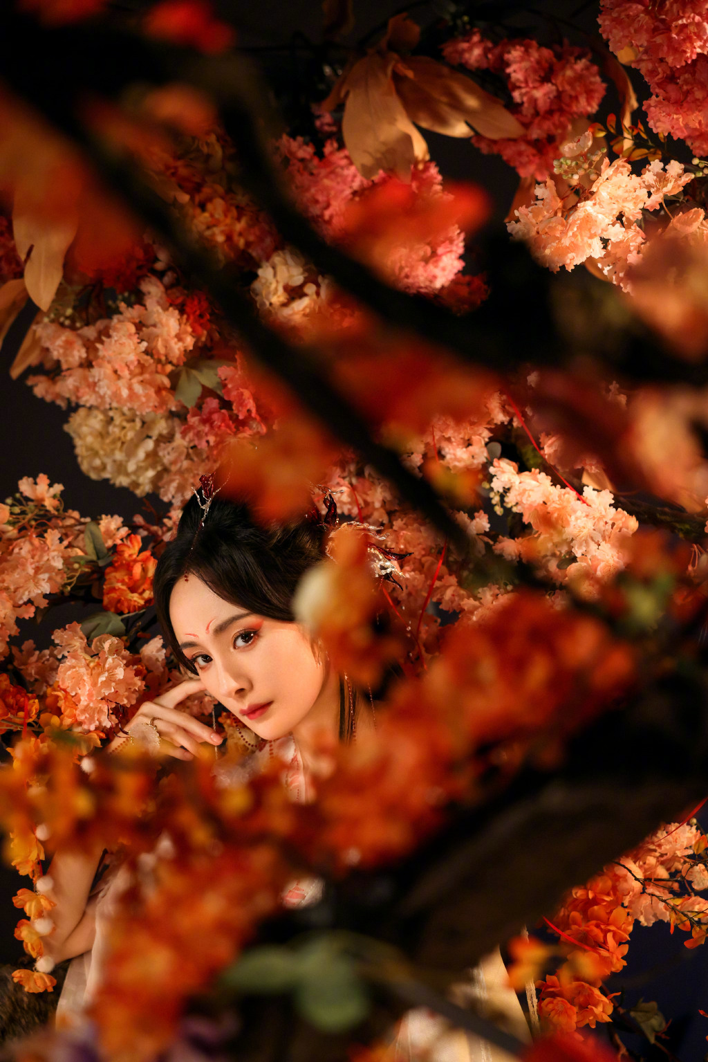 月红_月红篇狐妖小红娘