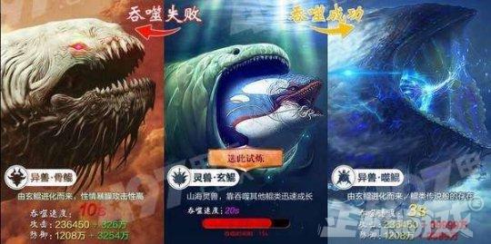 炉石自走棋_炉石自走棋叫什么