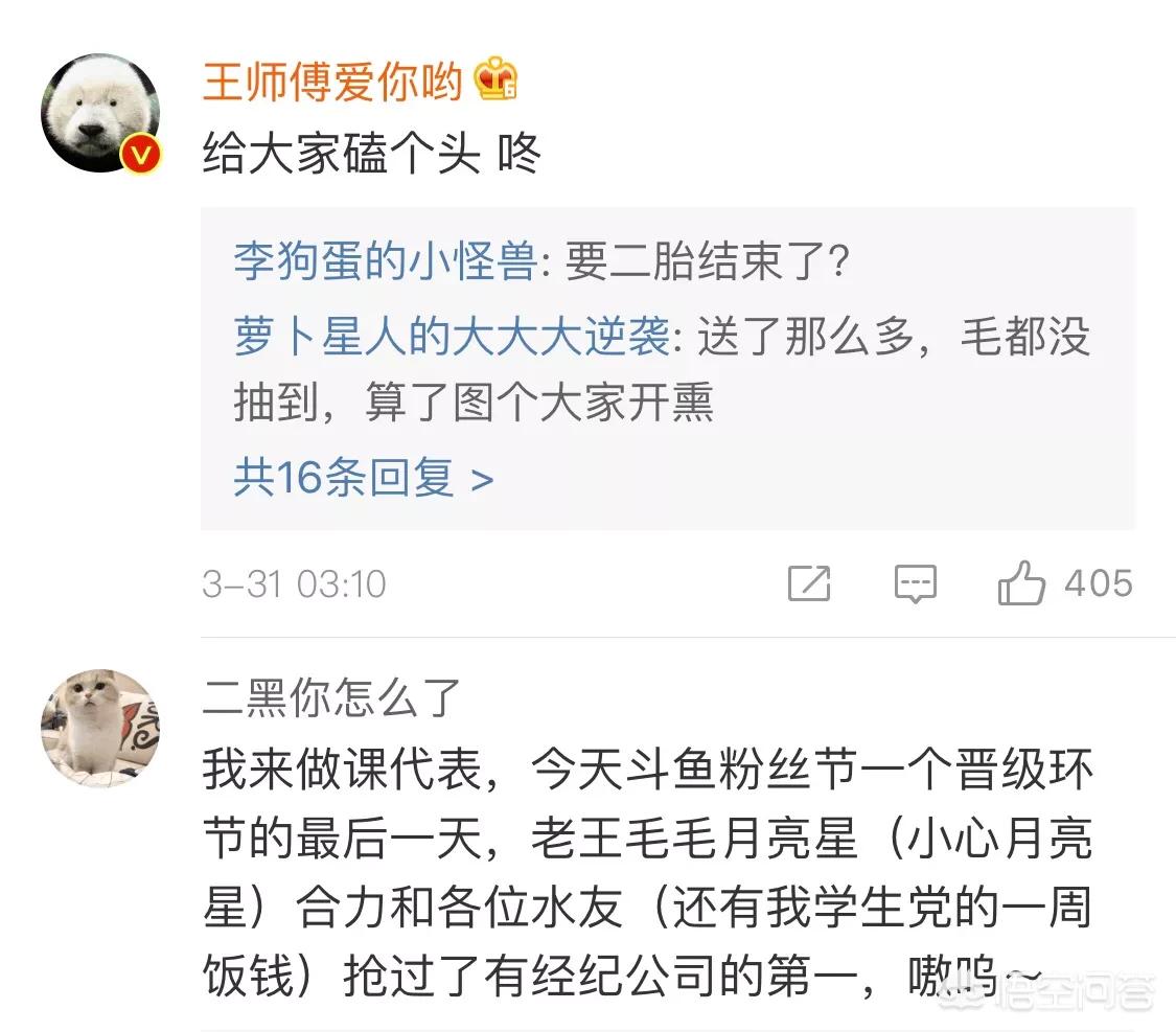炉石自走棋_炉石自走棋叫什么